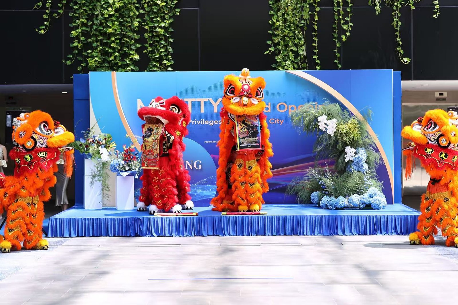 Live Band Performance